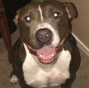 Meet your Posher, Jaquan